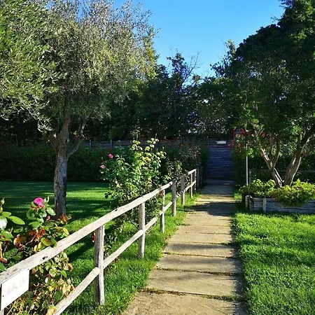 Montenovo Country House Ostra Vetere Exterior photo
