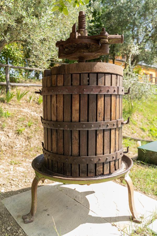 Montenovo Ostra Vetere