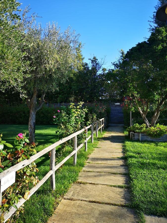 Montenovo Holiday home Ostra Vetere