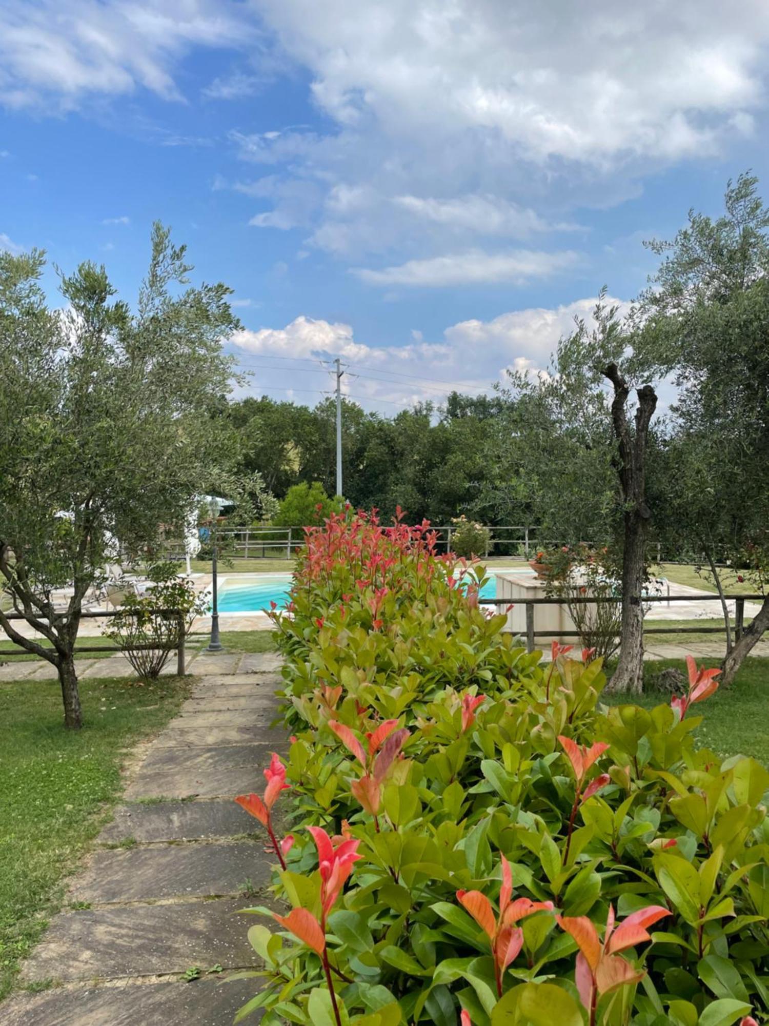 Montenovo