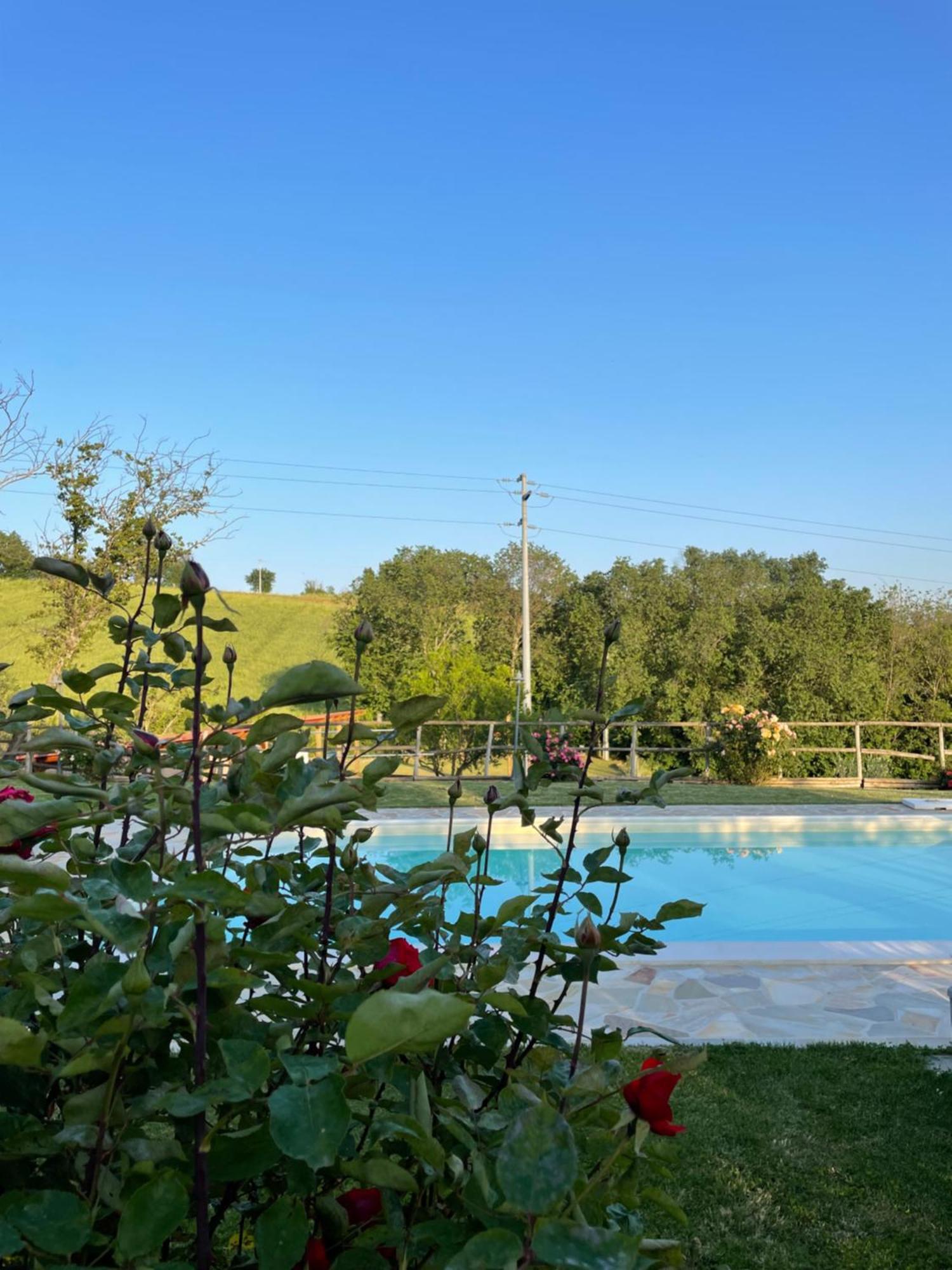 Montenovo Holiday home