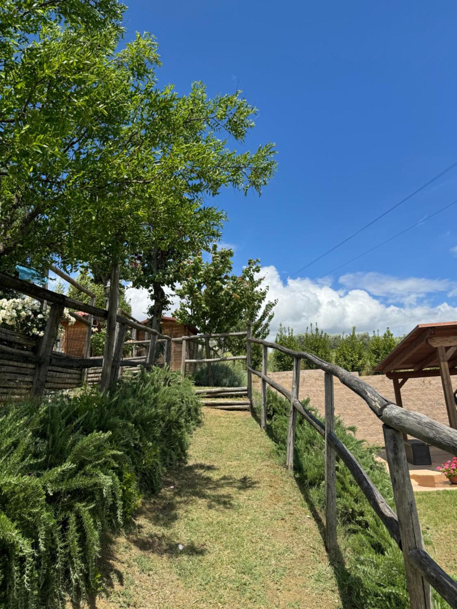 Montenovo Holiday home Ostra Vetere