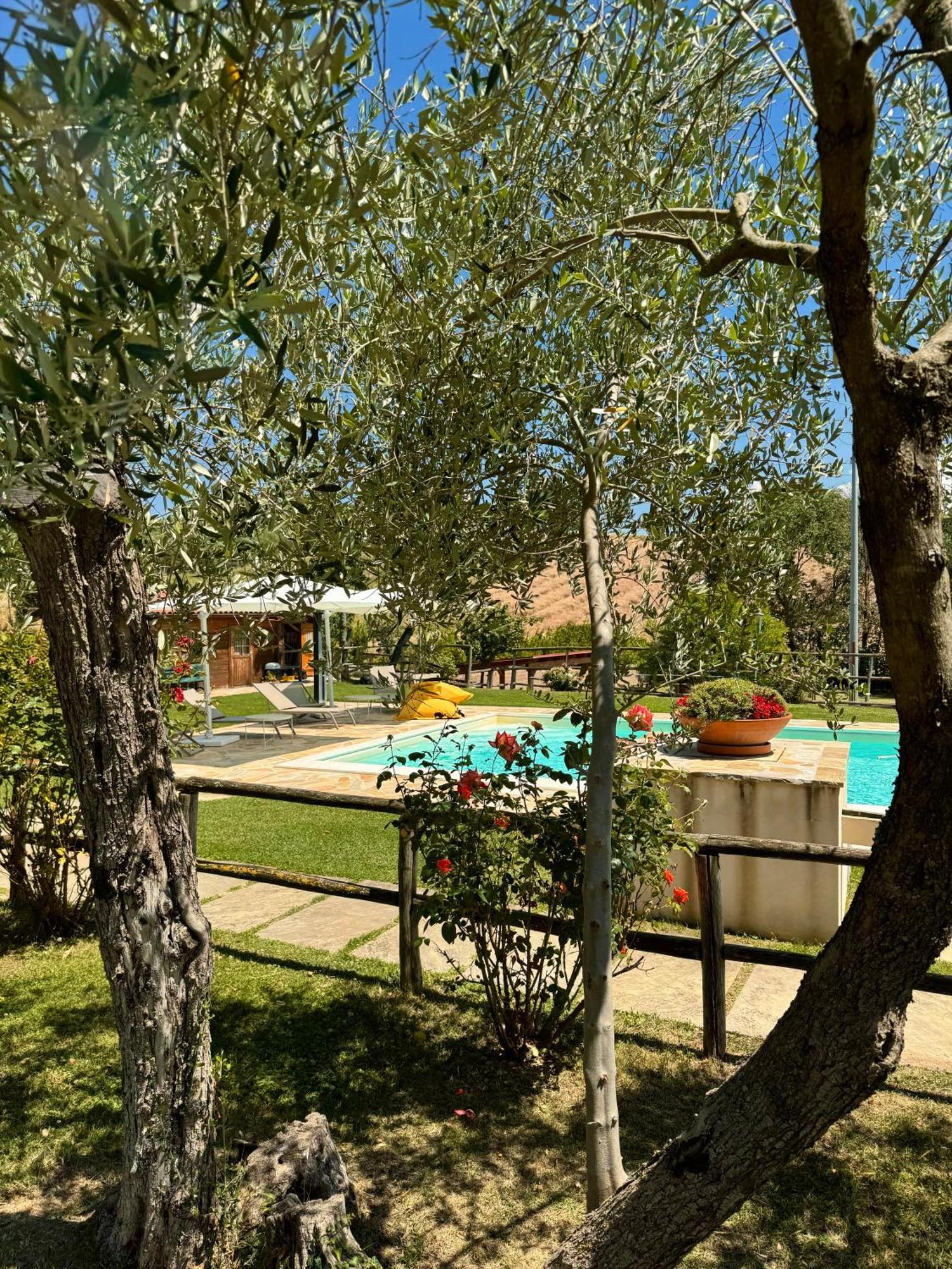 Montenovo Holiday home *