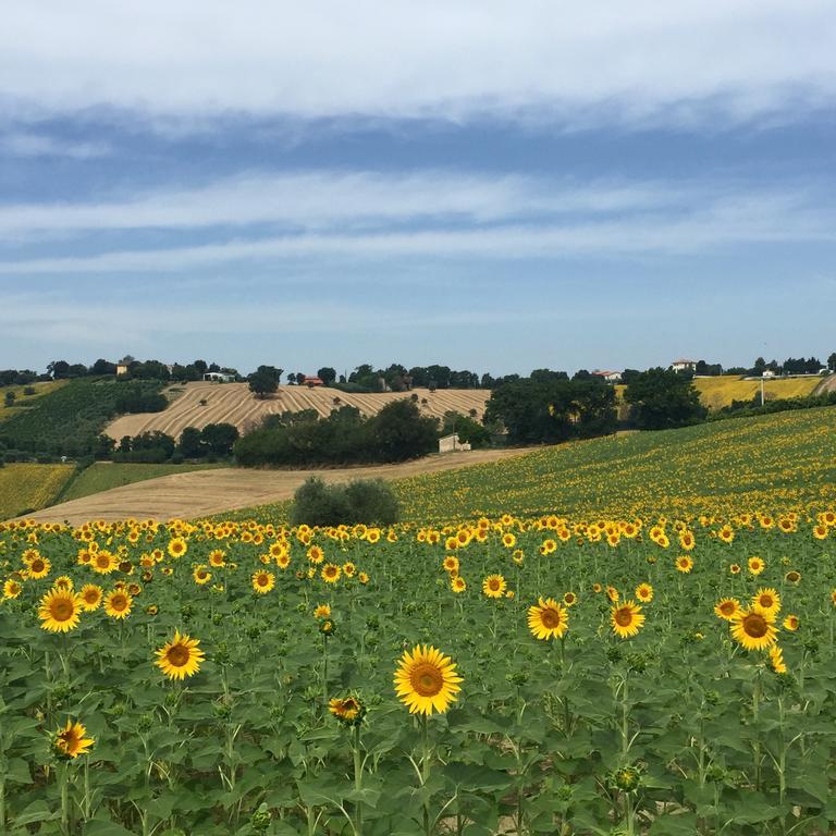 Montenovo Holiday home *