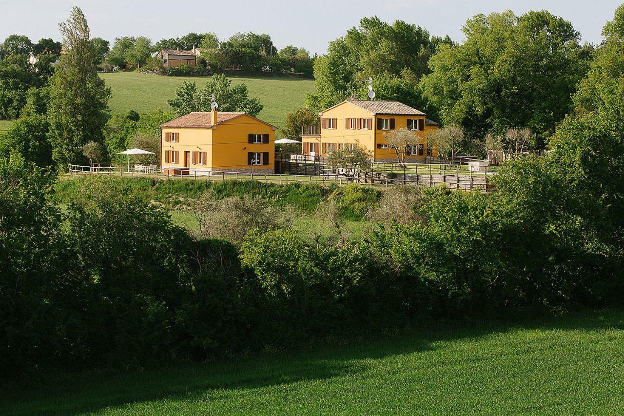 Montenovo * Ostra Vetere